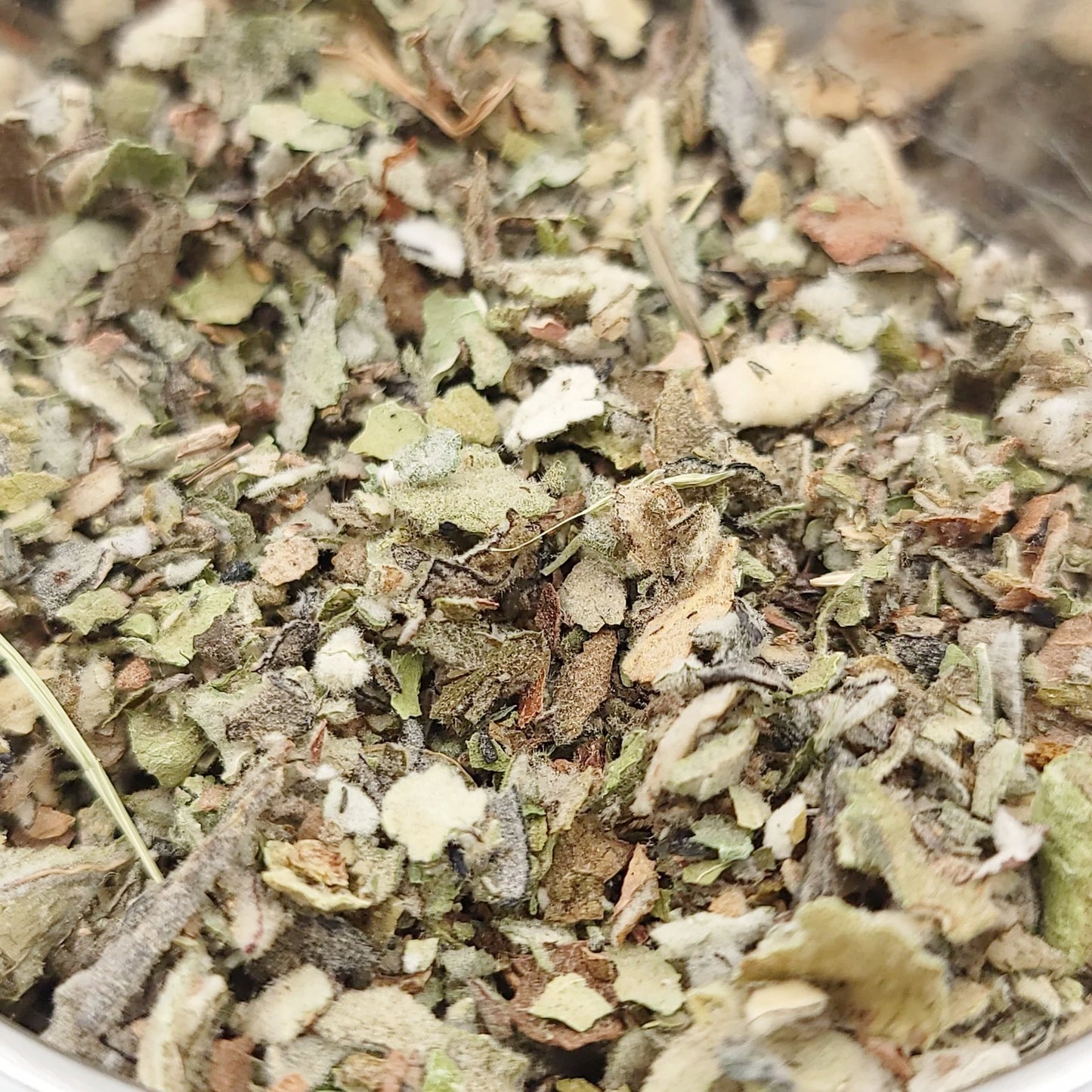 Mullein Leaf Leaves Herb