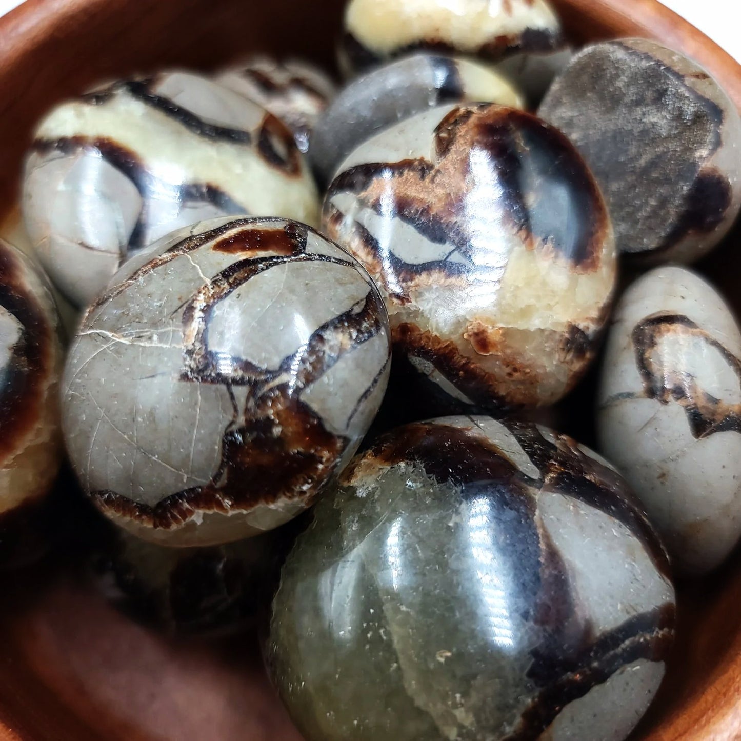 Septarian Palm Stone Gallet - Elevated Metaphysical