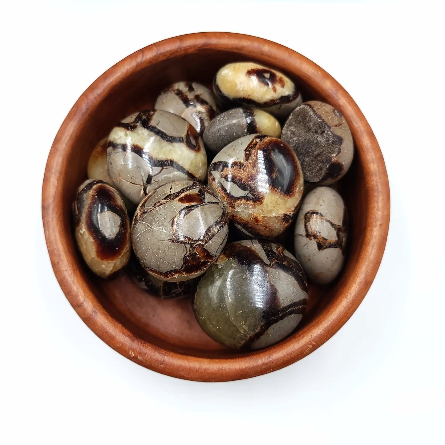 Septarian Palm Stone Gallet - Elevated Metaphysical