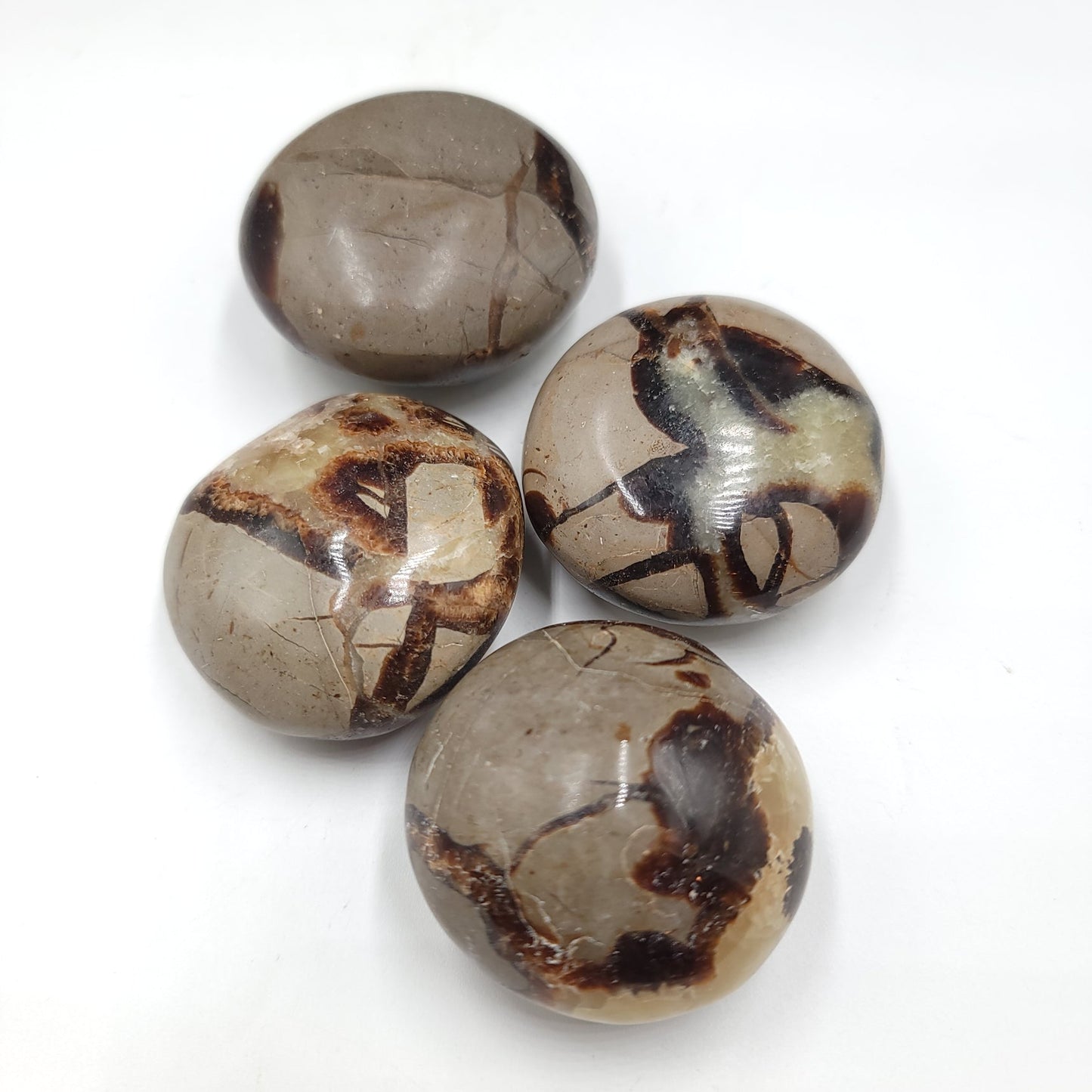 Septarian Palm Stone Gallet - Elevated Metaphysical