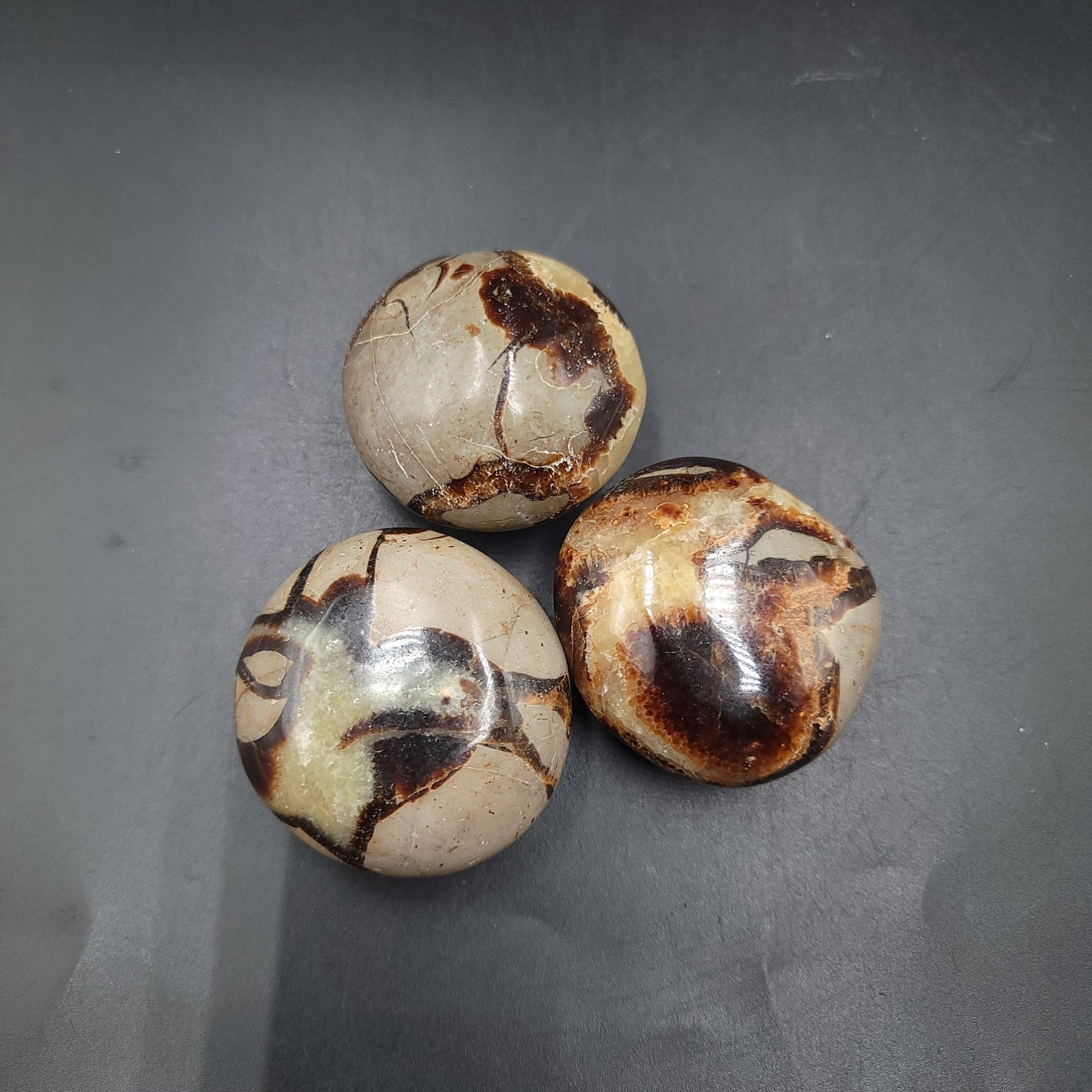 Septarian Palm Stone Gallet - Elevated Metaphysical