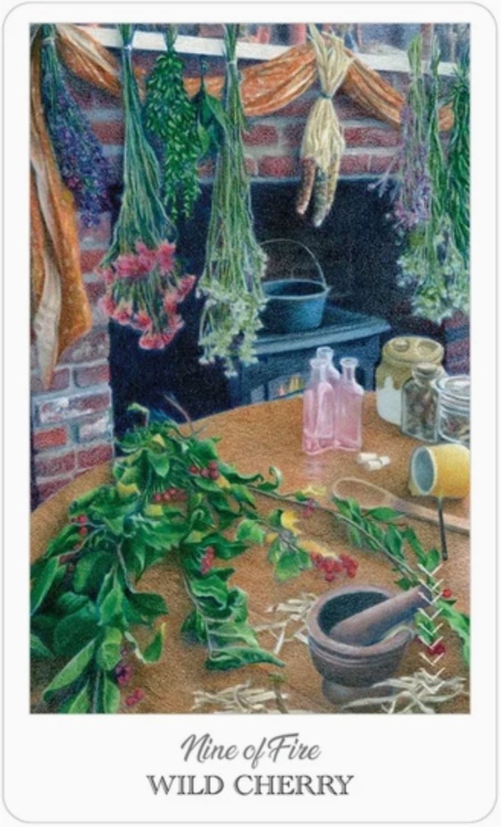 The Herbcrafter's Tarot