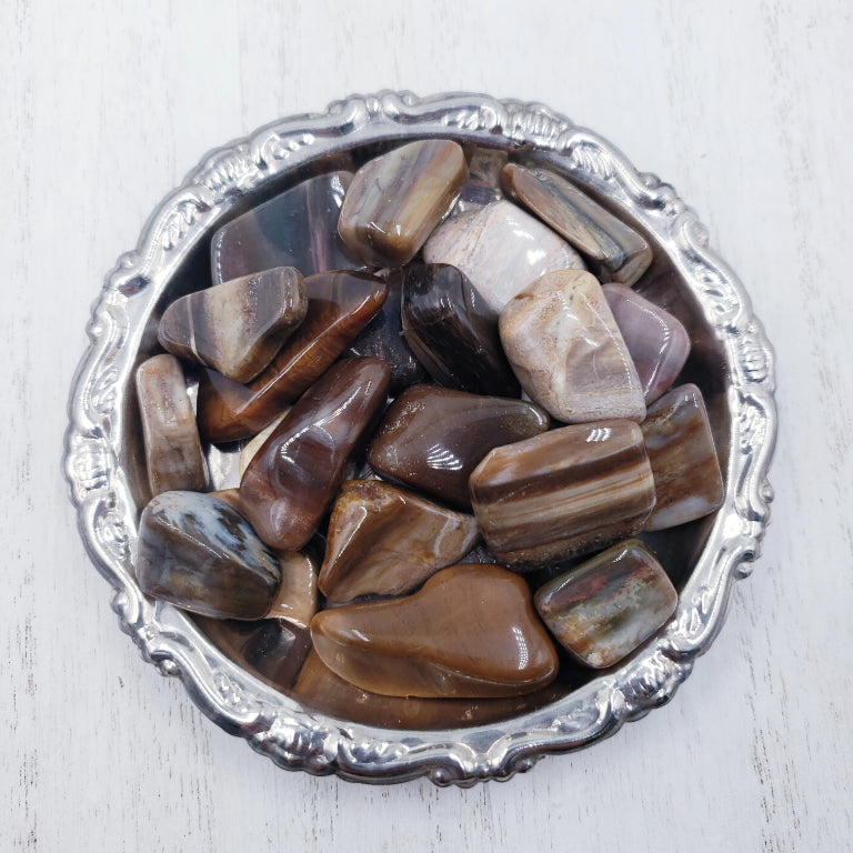 Petrified Wood Tumbled Stone
