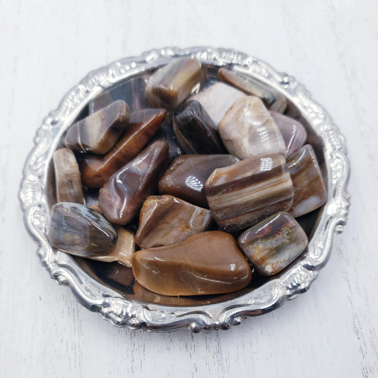 Petrified Wood Tumbled Stone