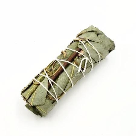 Eucalyptus Smudge Wand Stick 4" - Incense and Herbs
