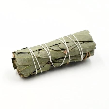 Eucalyptus Smudge Wand Stick 4" - Incense and Herbs