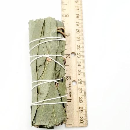 Eucalyptus Smudge Wand Stick 4" - Incense and Herbs