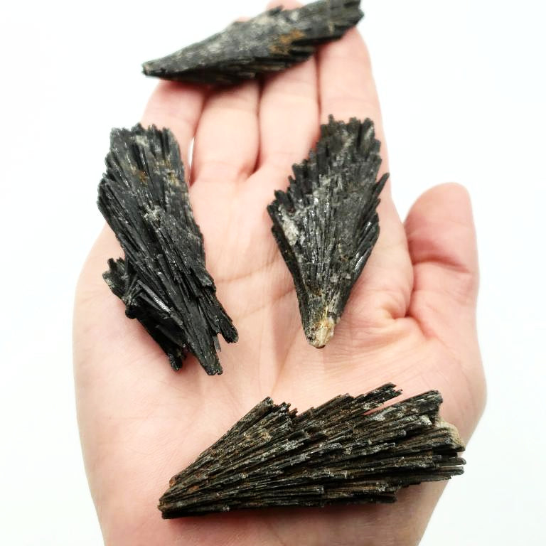 Black Kyanite Fan Blade Stone Rough - Elevated Metaphysical