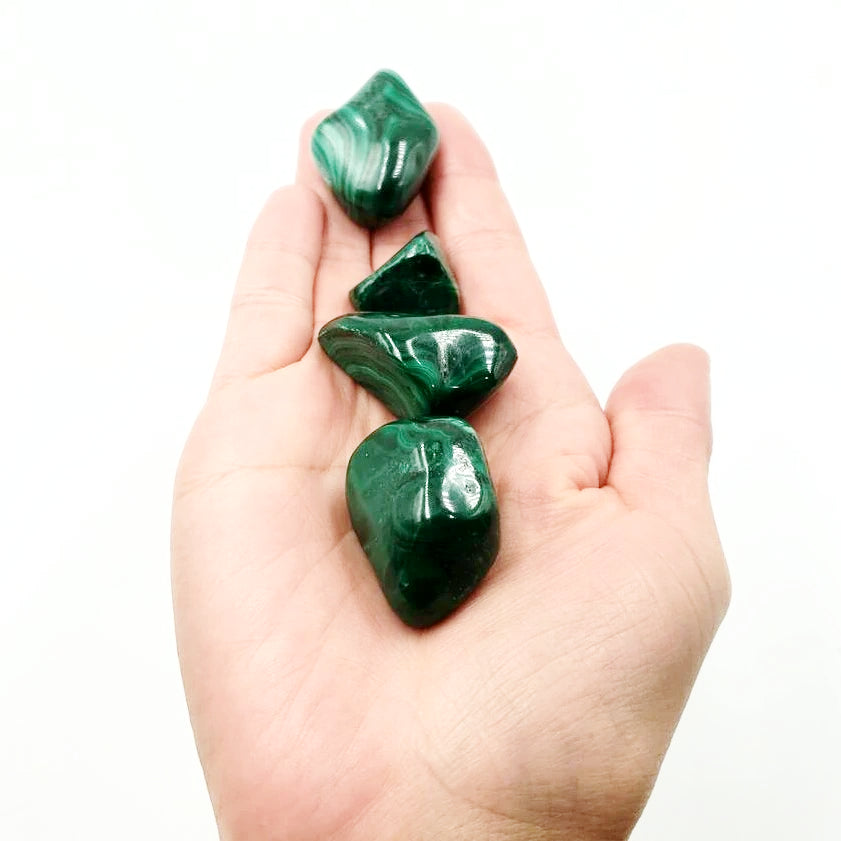 Malachite Tumbled Stone - Elevated Metaphysical
