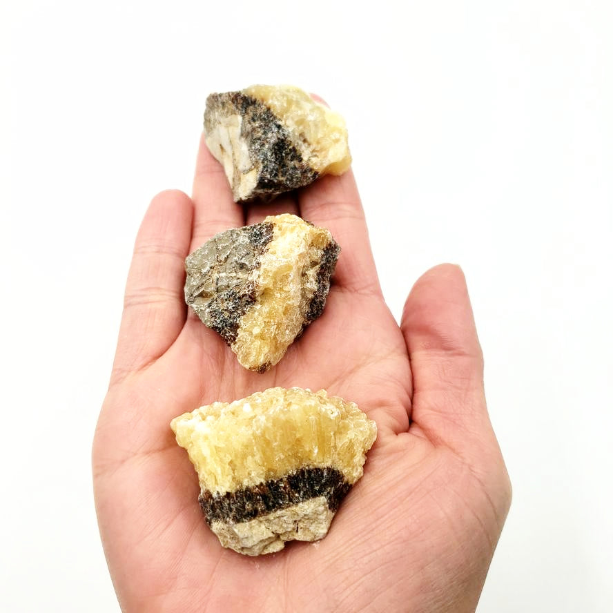 Septarian Rough Stone