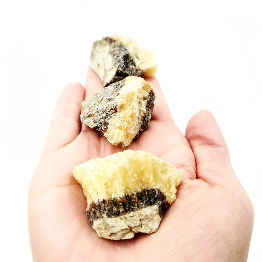 Septarian Rough Stone
