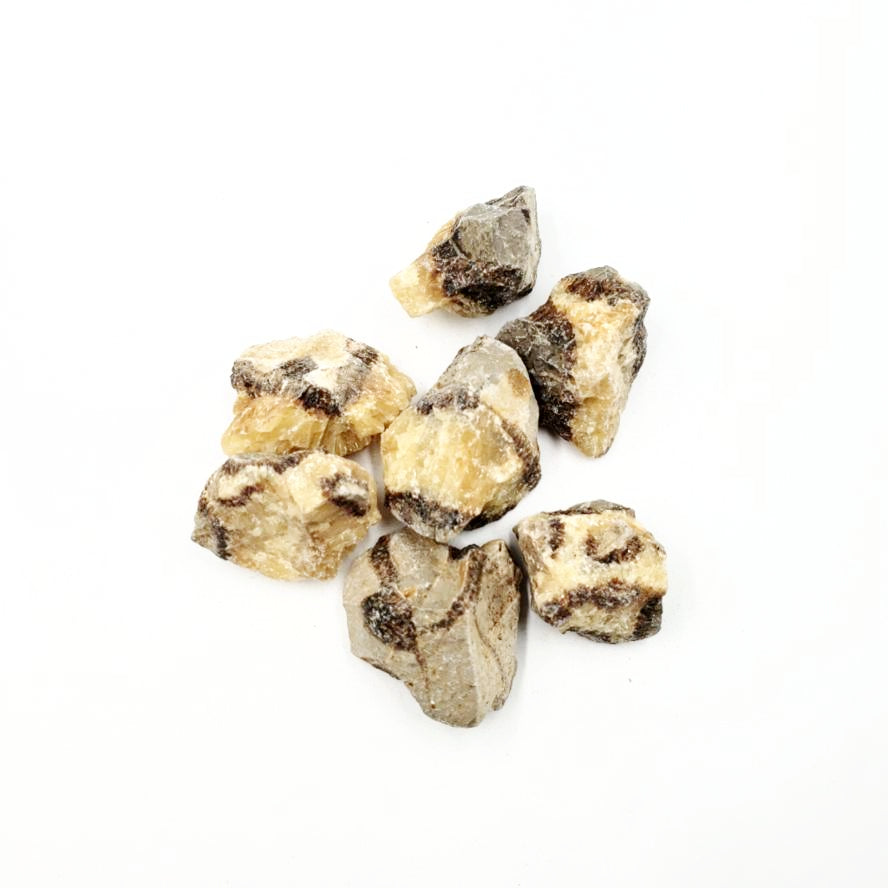 Septarian Rough Stone