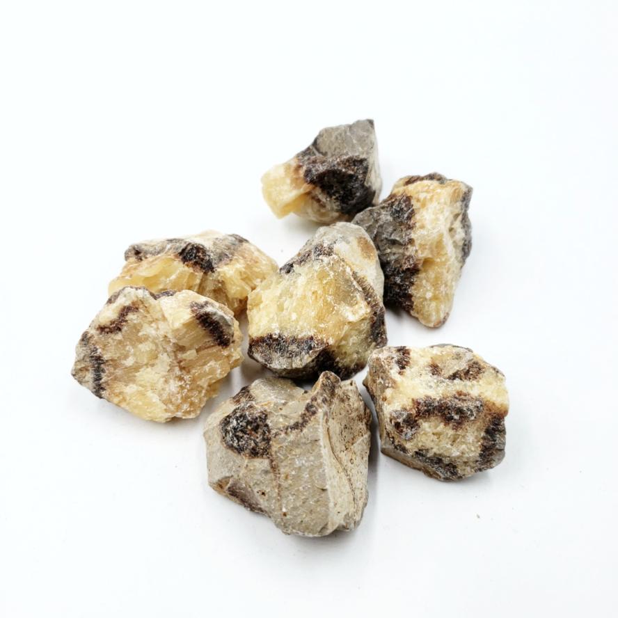 Septarian Rough Stone