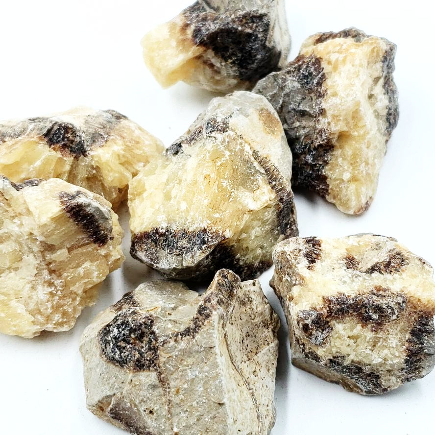 Septarian Rough Stone