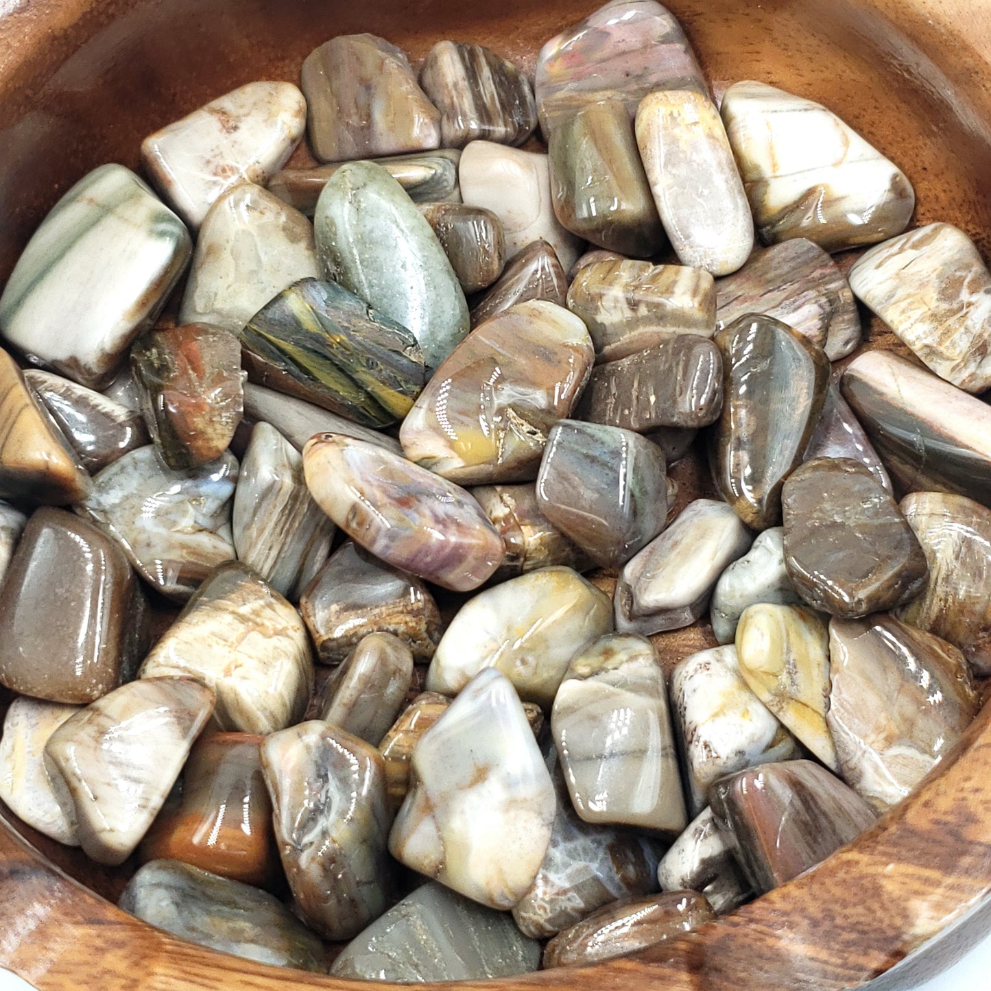 Petrified Wood Tumbled Stone