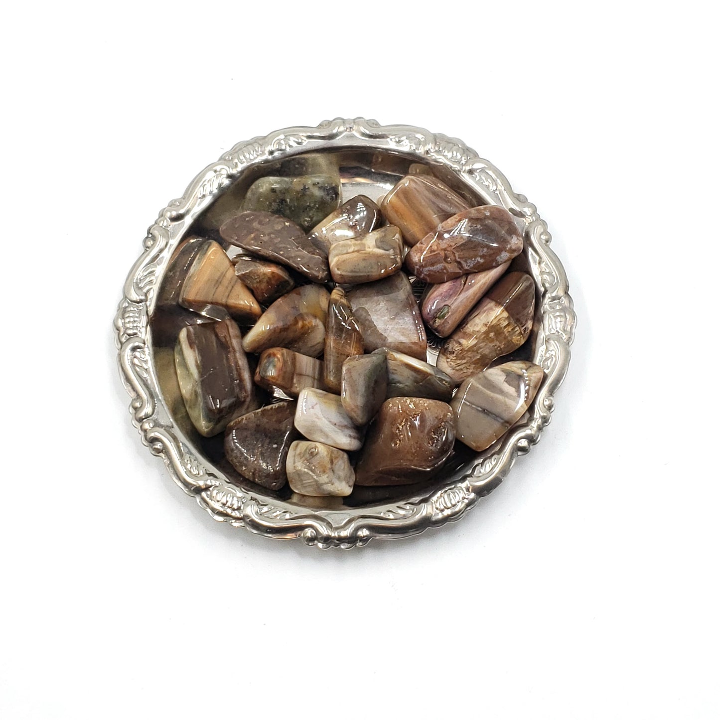 Petrified Wood Tumbled Stone