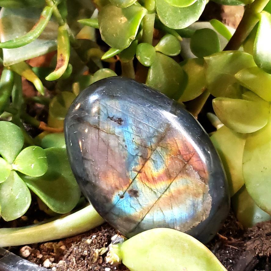 Labradorite Palm Stone Smooth Stone Blue Labradorite - Elevated Metaphysical