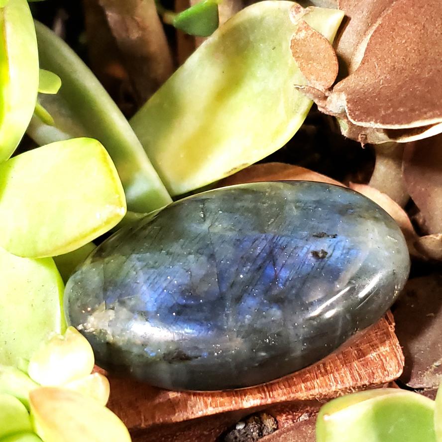Labradorite Palm Stone Smooth Stone Blue Labradorite - Elevated Metaphysical