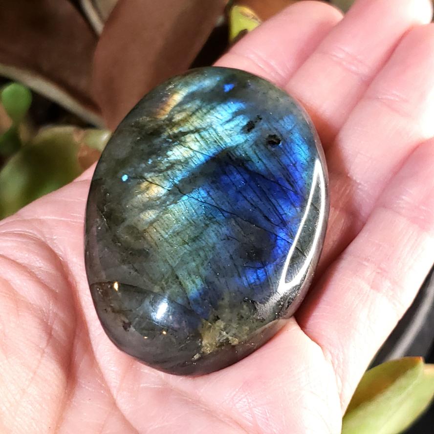 Labradorite Palm Stone Smooth Stone Blue Labradorite - Elevated Metaphysical