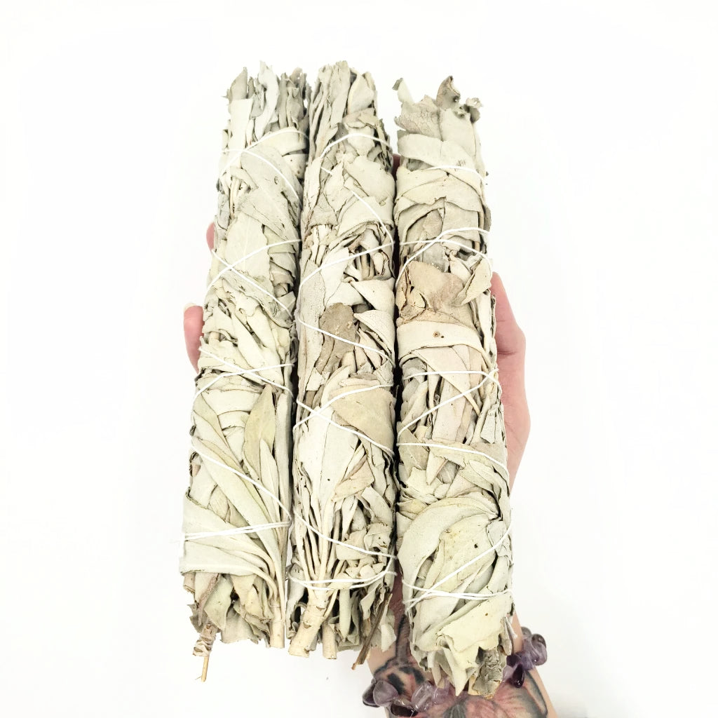 White Sage Smudge Wand 8" California - Elevated Metaphysical