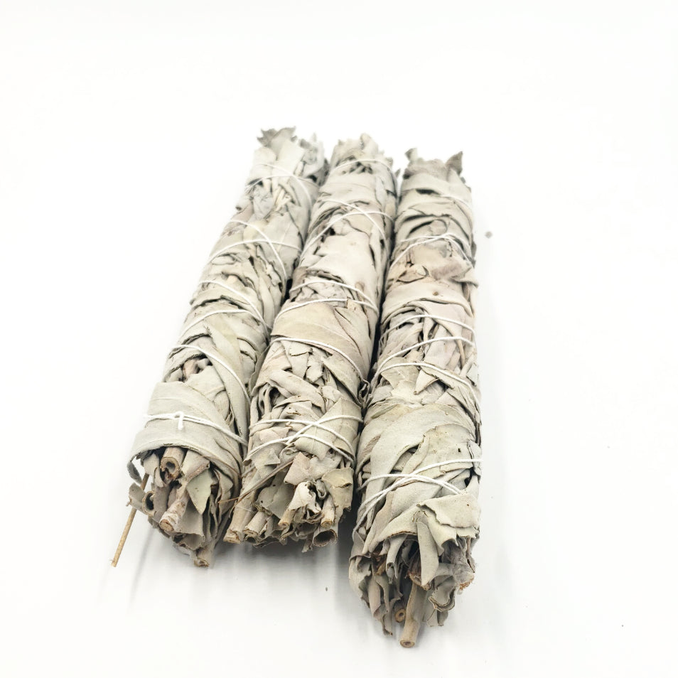 White Sage Smudge Wand 8" California - Elevated Metaphysical
