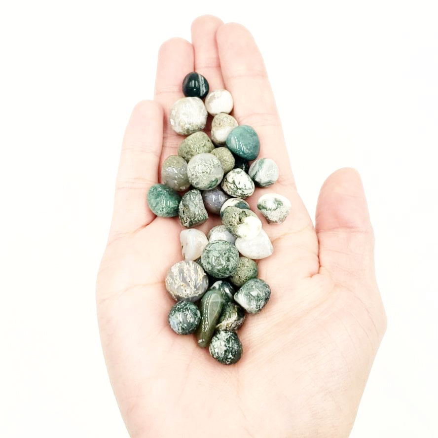 Moss Agate Chips - Elevated Metaphysical