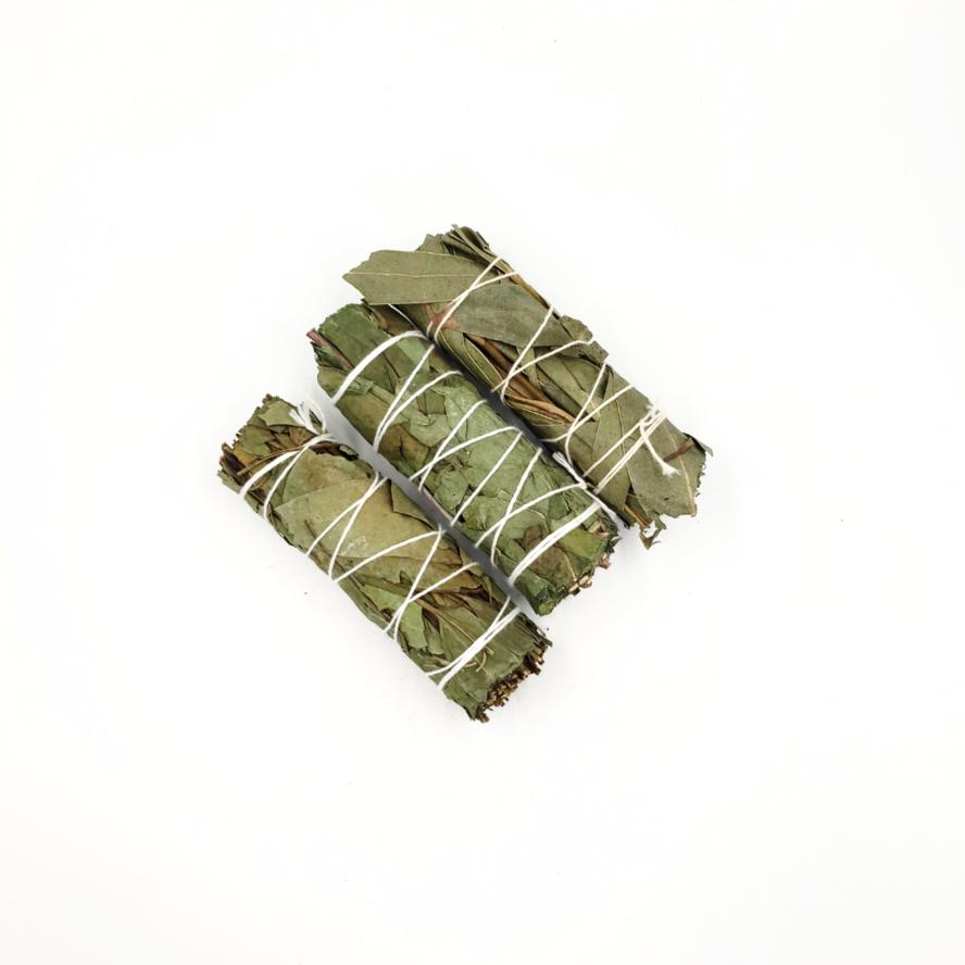 Eucalyptus Smudge Wand Stick 4" - Incense and Herbs