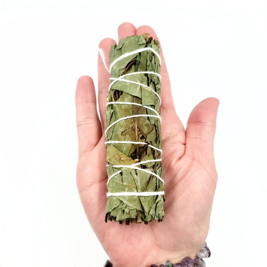 Eucalyptus Smudge Wand Stick 4" - Incense and Herbs