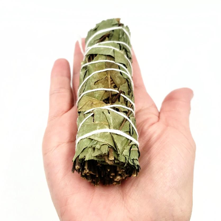 Eucalyptus Smudge Wand Stick 4" - Incense and Herbs