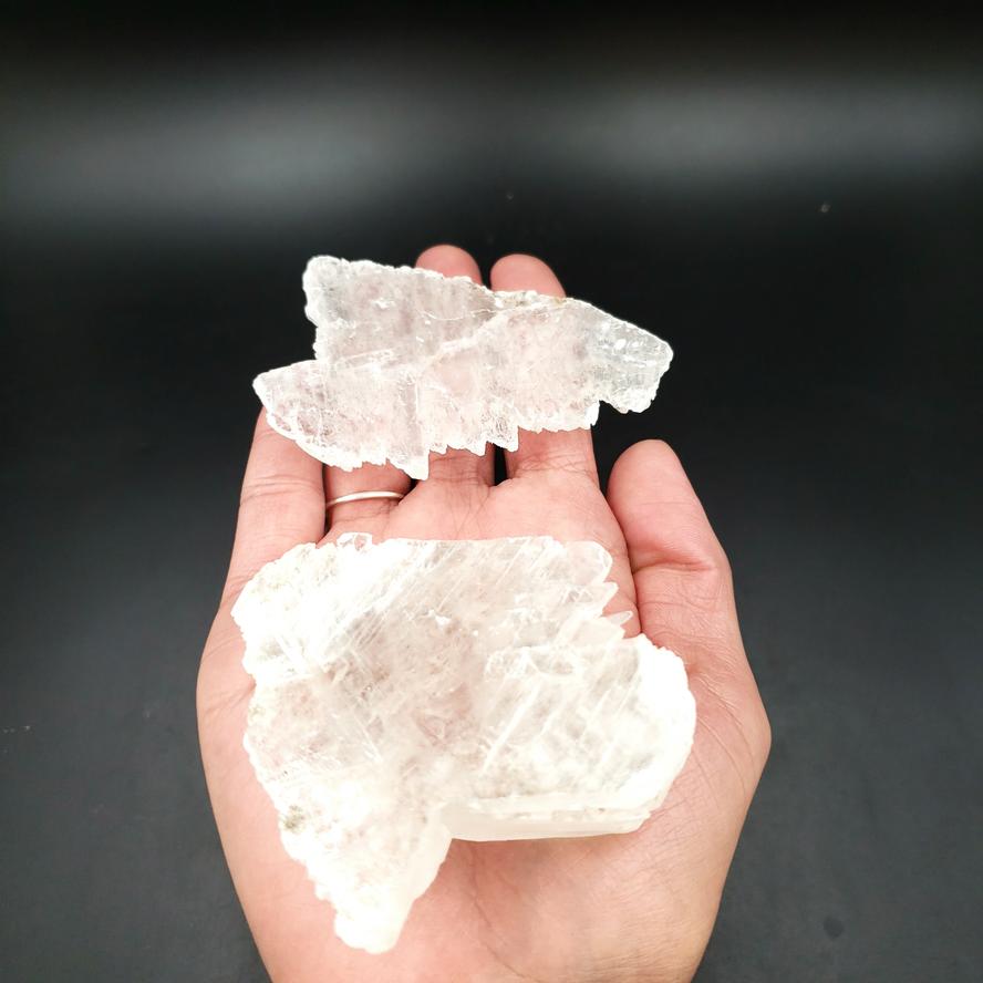Selenite Fish Tail Angel Wings - Elevated Metaphysical