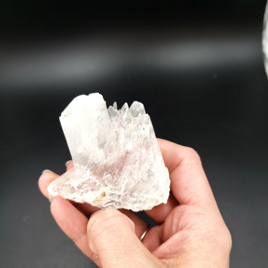 Selenite Fish Tail Angel Wings - Elevated Metaphysical