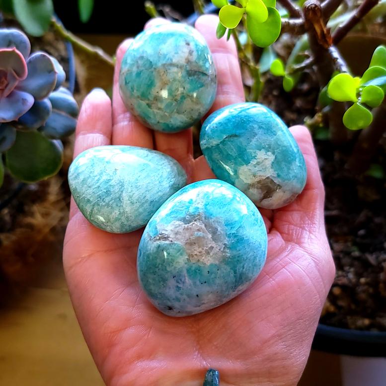 Amazonite Palm Stone Gallet