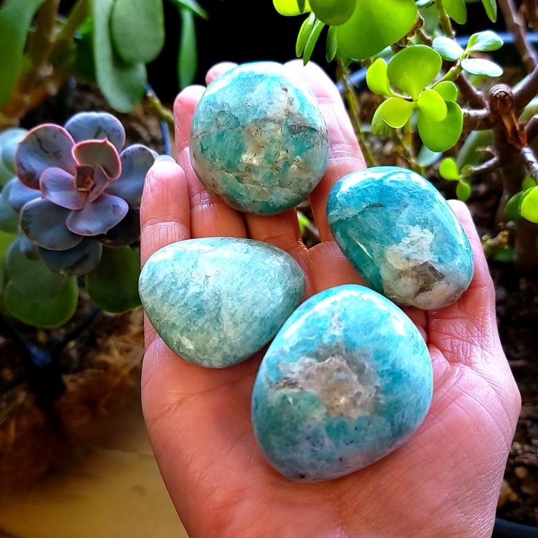 Amazonite Palm Stone Gallet