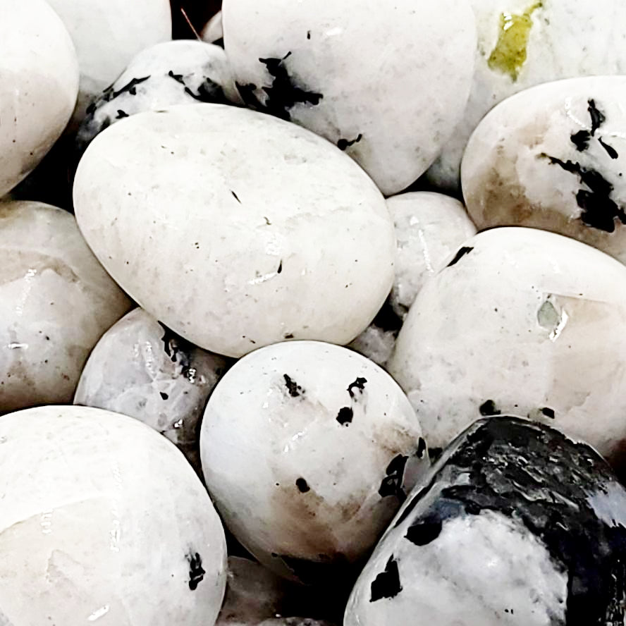 Rainbow Moonstone Tumbled Stone - Elevated Metaphysical