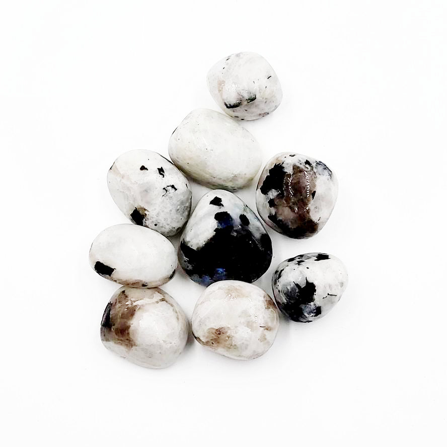 Rainbow Moonstone Tumbled Stone - Elevated Metaphysical