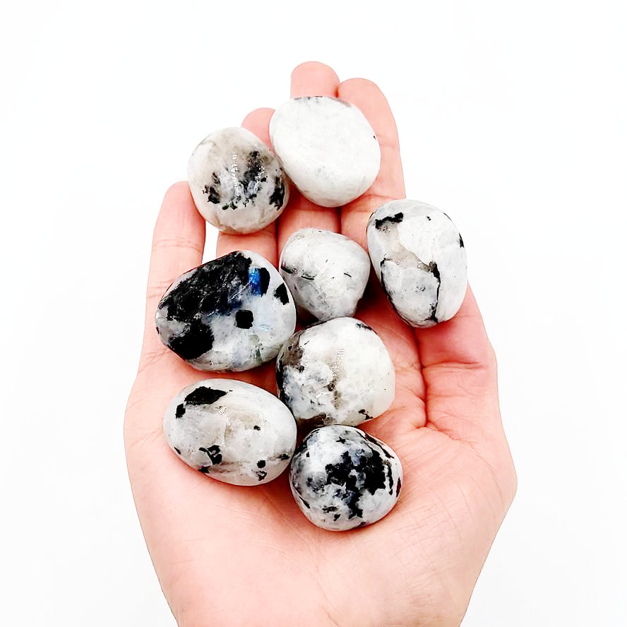 Rainbow Moonstone Tumbled Stone - Elevated Metaphysical