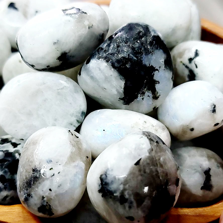 Rainbow Moonstone Tumbled Stone - Elevated Metaphysical
