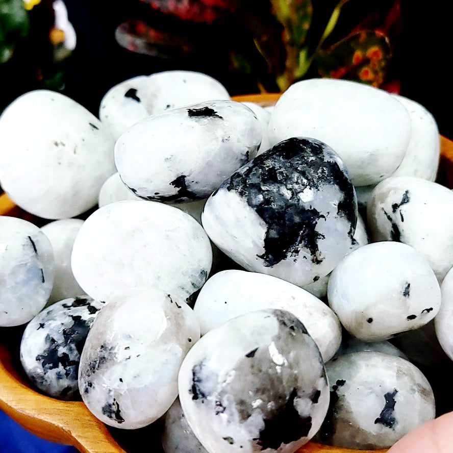 Rainbow Moonstone Tumbled Stone - Elevated Metaphysical