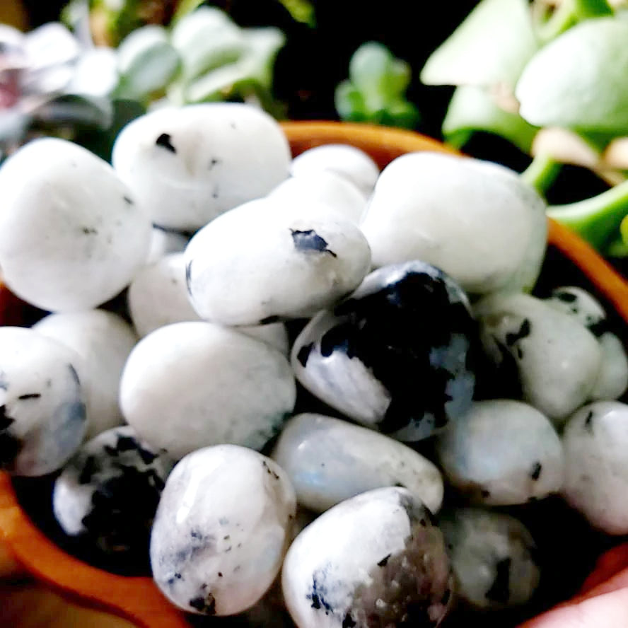 Rainbow Moonstone Tumbled Stone - Elevated Metaphysical
