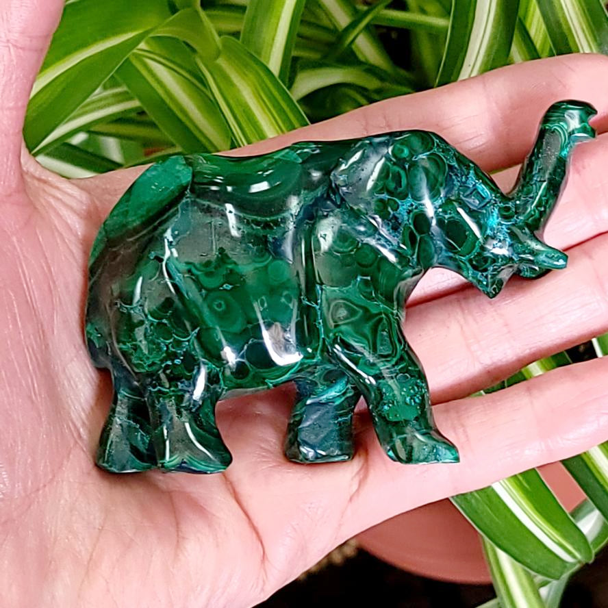 Malachite Elephant 3.5" 88mm - Elevated Metaphysical