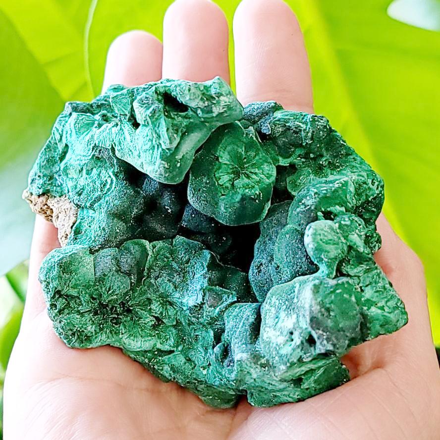 Malachite Cluster Silk Malachite Specimen Velvet  90 mm 9.3oz