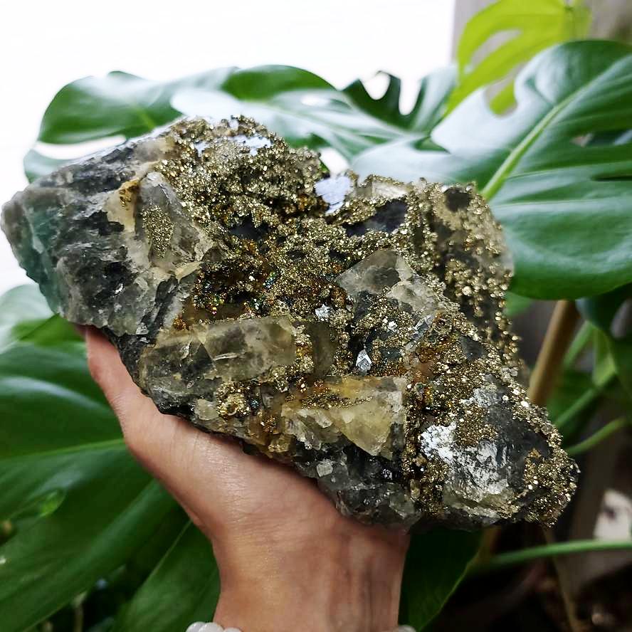 Fluorite & Pyrite Specimen Museum Quality Cubic Crystal Stone - Elevated Metaphysical