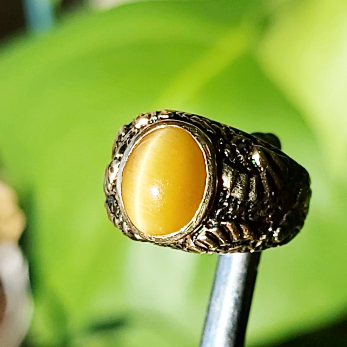 Chrysoberyl Cats Eye Ring 14kt Gold Leaf Nugget Ring - Elevated Metaphysical