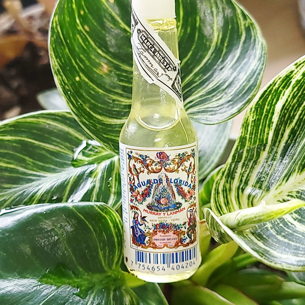 Florida Water from Peru 22ml Pocket Sample Size Spiritual Cologne - Elevated Metaphysical