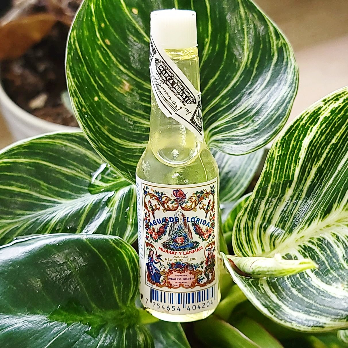 Florida Water from Peru 22ml Pocket Sample Size Spiritual Cologne - Elevated Metaphysical