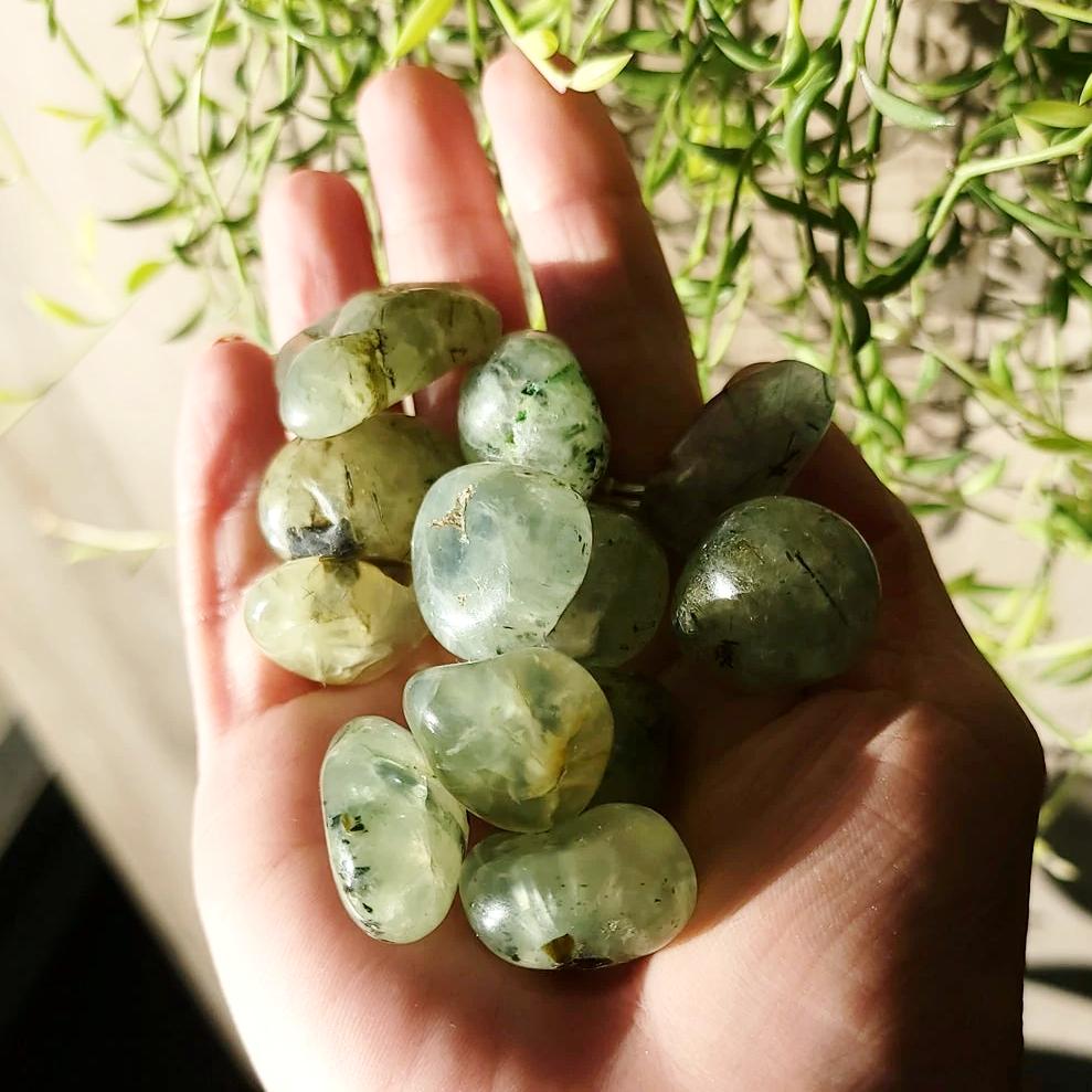 Prehnite Tumbled Stone - Elevated Metaphysical