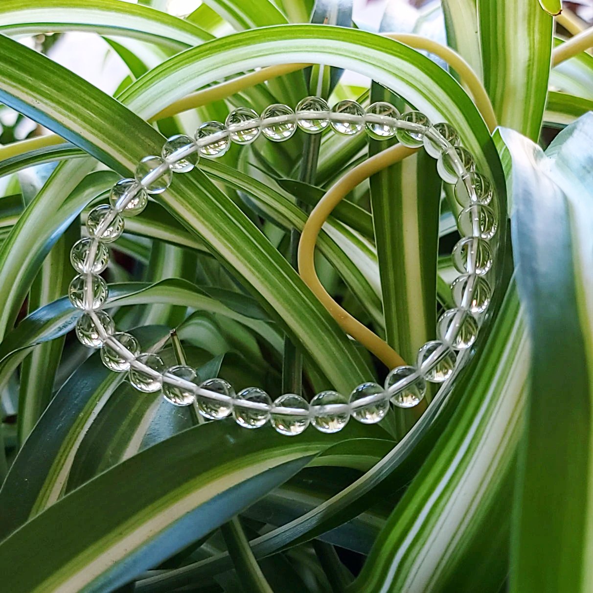 Clear Quartz Bead Bracelet 6mm - Elevated Metaphysical