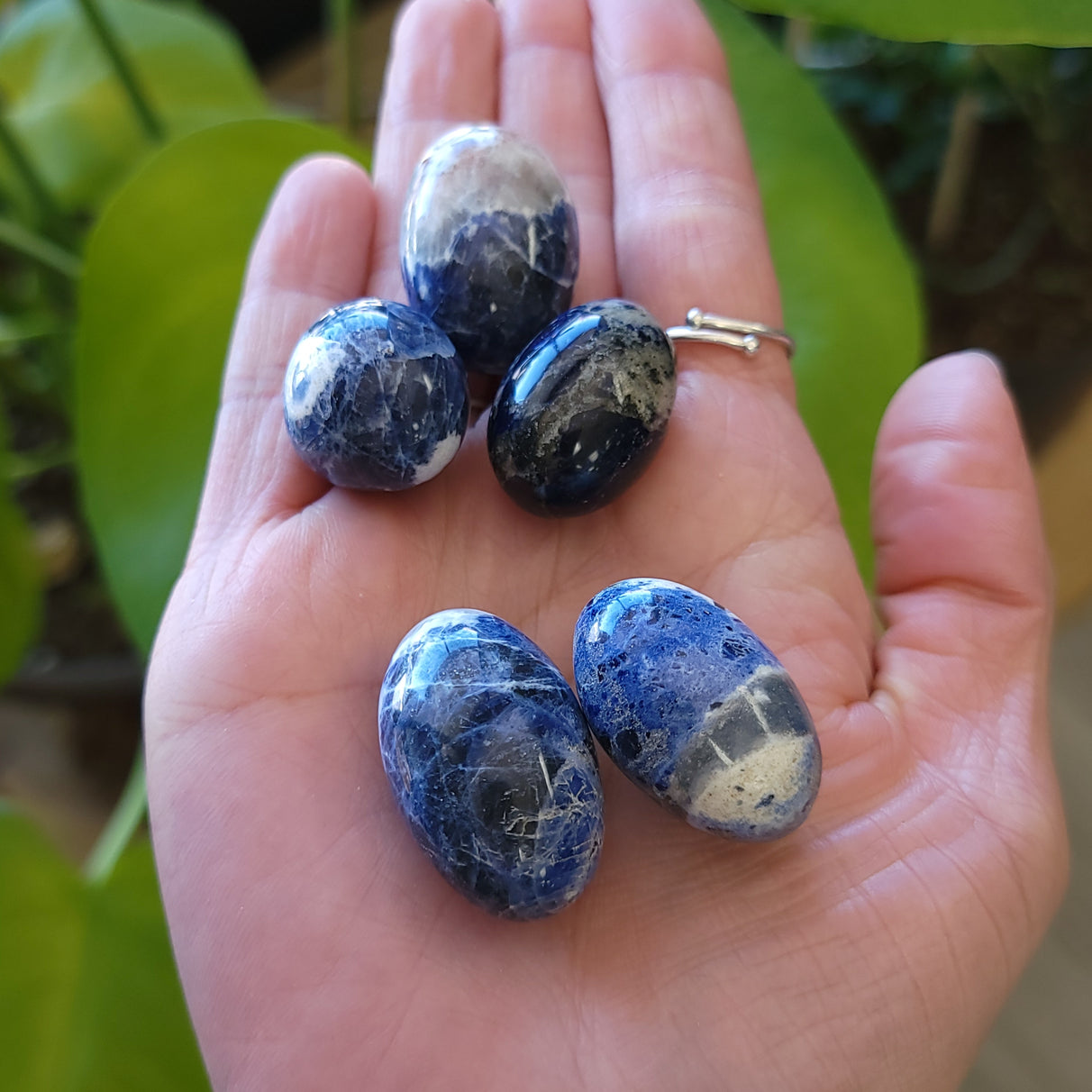 Sodalite Tumbled Stone - Elevated Metaphysical