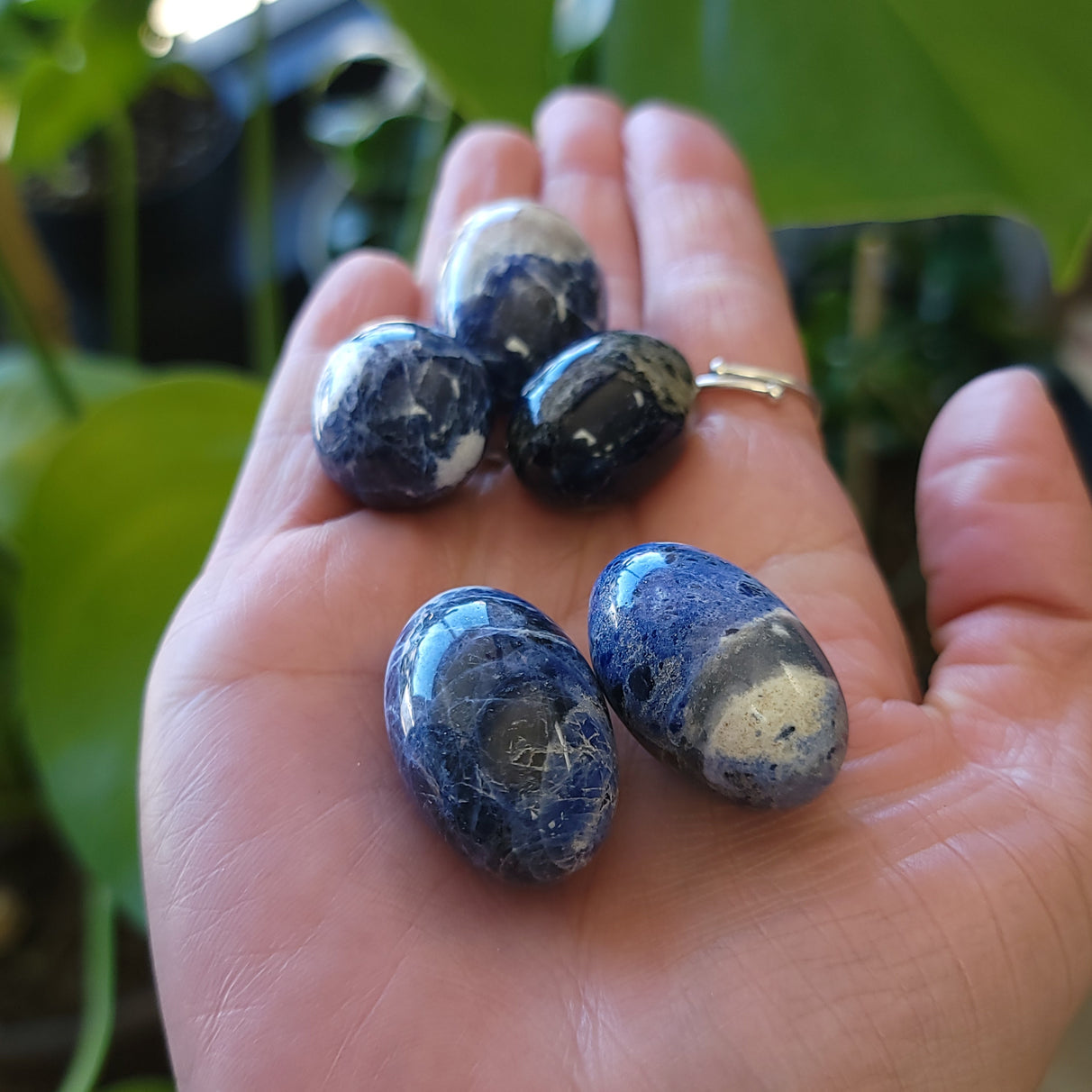 Sodalite Tumbled Stone - Elevated Metaphysical