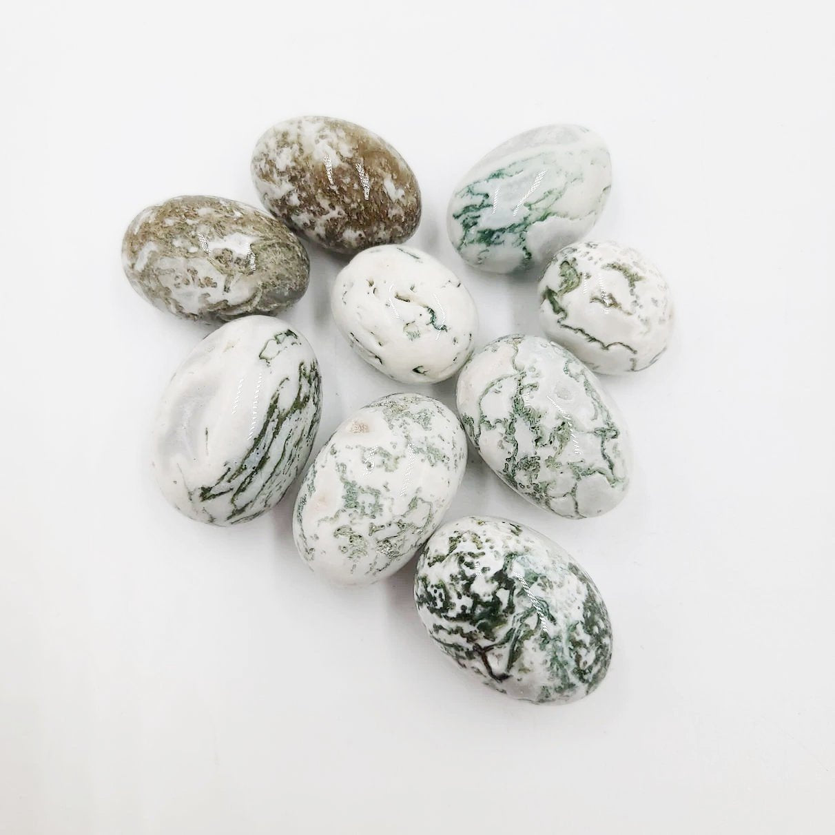 Tree Agate Tumbled Stone - Elevated Metaphysical